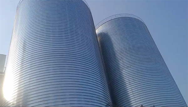 阿瓦提2座混凝土高架卷板仓